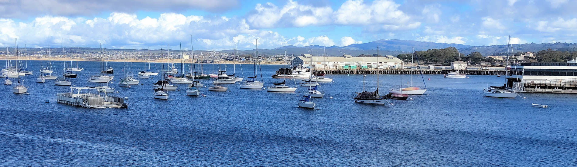 monterey harbor with sailboats